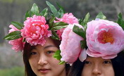 Girls wearing "peony hats" seen at park 