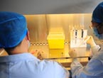 H7N9 bird flu testing process standardized