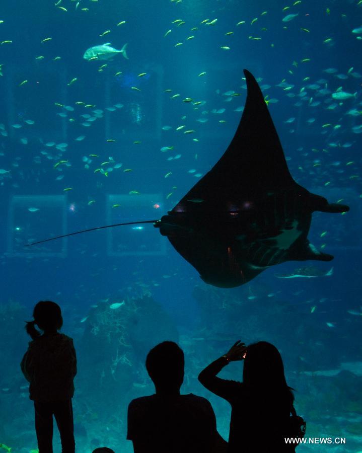 People visit the Resorts World Sentosa's S.E.A Aquarium in Singapore, April 9, 2013. The aquarium, is the official record holder of the two Guinness World Records - for the world's largest aquarium and for the world's largest acrylic panel in its Ocean Gallery, according to the announcement of the Resorts World Sentosa. (Xinhua/Then Chih Wey) 