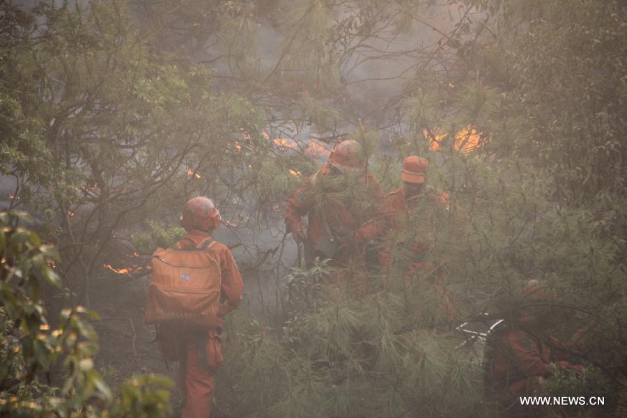 Firefighters put out a forest fire in Qinfeng Township of Lufeng County, southwest China's Yunnan Province, April 27, 2013. The forest fire which broke out on April 23 has been under control, and no casualties have been reported. (Xinhua/Xu Tao)