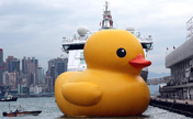 Huge rubber duck visits Hong Kong