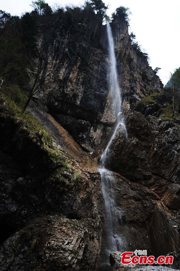 Photo taken in early May shows the magnificent waterfall in Guanegou Scenic Area (or Goose Ditch National Forest Part) in Dangchang County, Northwest China's Gansu Province. The scenic area is a natural oxygen bar with beautiful flowers, winding paths, and large areas of virgin forests. (CNS/Yang Yanmin)