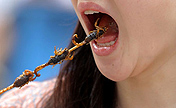 Nation not ready for insect diet, expert warns