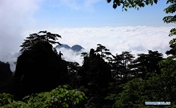 Sea of clouds at Mount Huangshan scenic spot, E China