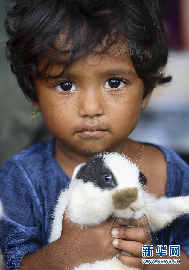 A child holds a rabbit in a shelter for disaster victims during the tsunami in Indonesia, Dec. 12, 2006. ( Photo/Xinhua)
