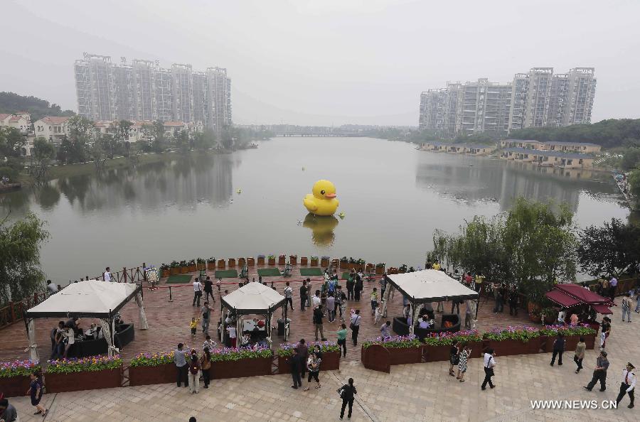 Photo taken on June 1, 2013 shows a mini rubber duck floating on a lake in the Hannan District of Wuhan, capital of central China's Hubei Province. The duck, made by a property company, is a mini copy of the huge rubber duck which appeared in Hong Kong, south China, on May 2. (Xinhua) 