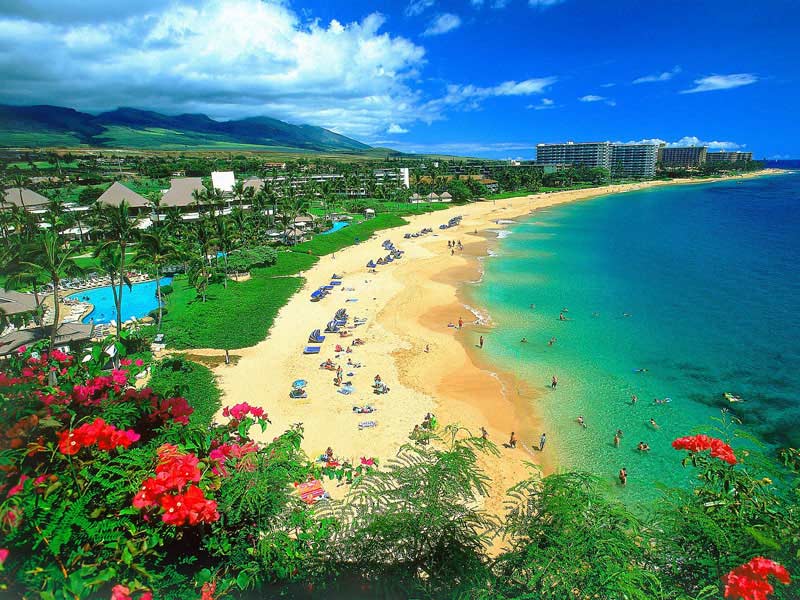 Punalu'u, Hawaii, United States (Source: huanqiu.com)