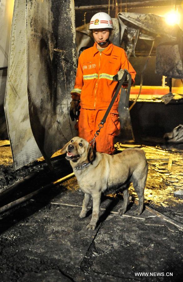 A fire fighter leads a sniffer dog while searching for survivors at the burnt poultry slaughterhouse owned by the Jilin Baoyuanfeng Poultry Company in Mishazi Township of Dehui City in northeast China's Jilin Province, June 3, 2013. The death toll from the fire has risen to 119 as of 8 p.m. on Monday. Search and rescue work is under way. (Xinhua/Wang Haofei)