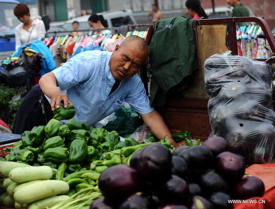 A vendor organizes his vegetables in a market in Taigu County, north China's Shanxi Province, June 7, 2013. China's consumer price index (CPI), a main gauge of inflation, grew 2.1 percent year on year in May, down from 2.4 percent in April, the National Bureau of Statistics said on Sunday. (Xinhua/Yan Yan)