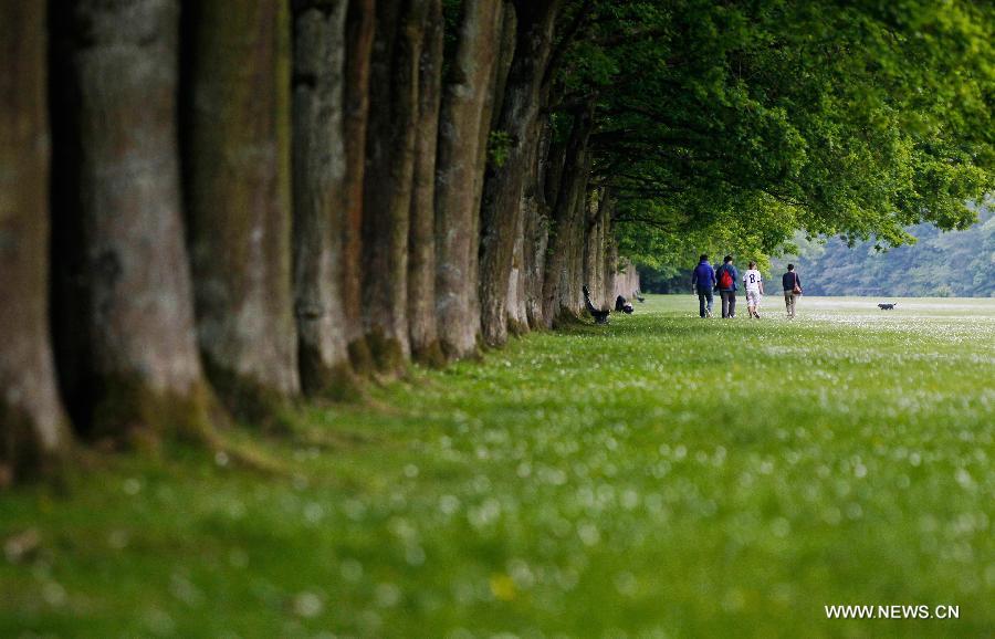 Younsters walk on the lawn at a park in the eastern suburbs of Brussels, capital of Belgium, on June 11, 2013. Local residents go to parks to enjoy the sunshine after experiencing a long and gloomy spring this year. (Xinhua/Zhou Lei)