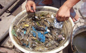 Industrial wastes hit fishing in Zhejiang