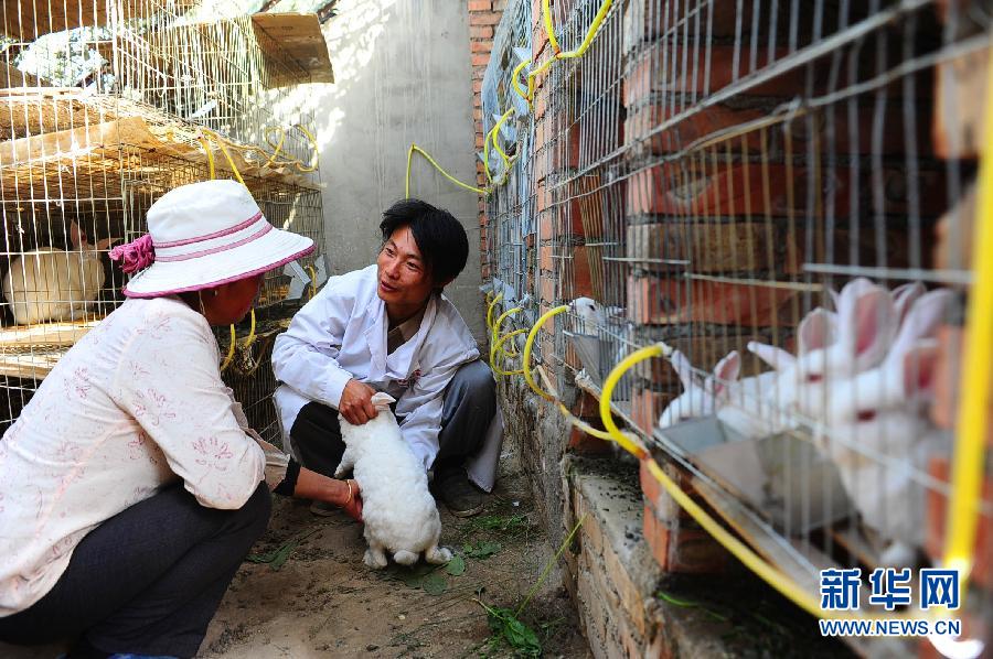 A specialist teaches villagers how to breed rabbit at the breeding base on June 1, 2013. (Xinhua/Yang Shoude)