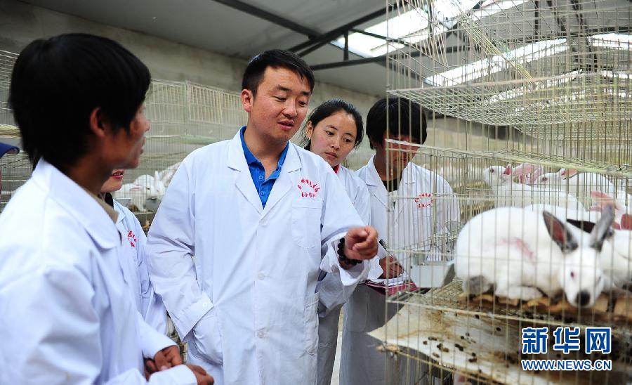 Yan Tianming (middle) leads trainees from a Qinghai's Veterinary College to take breeding record. Photo taken on June 1, 2013. (Xinhua/Yang Shoude)