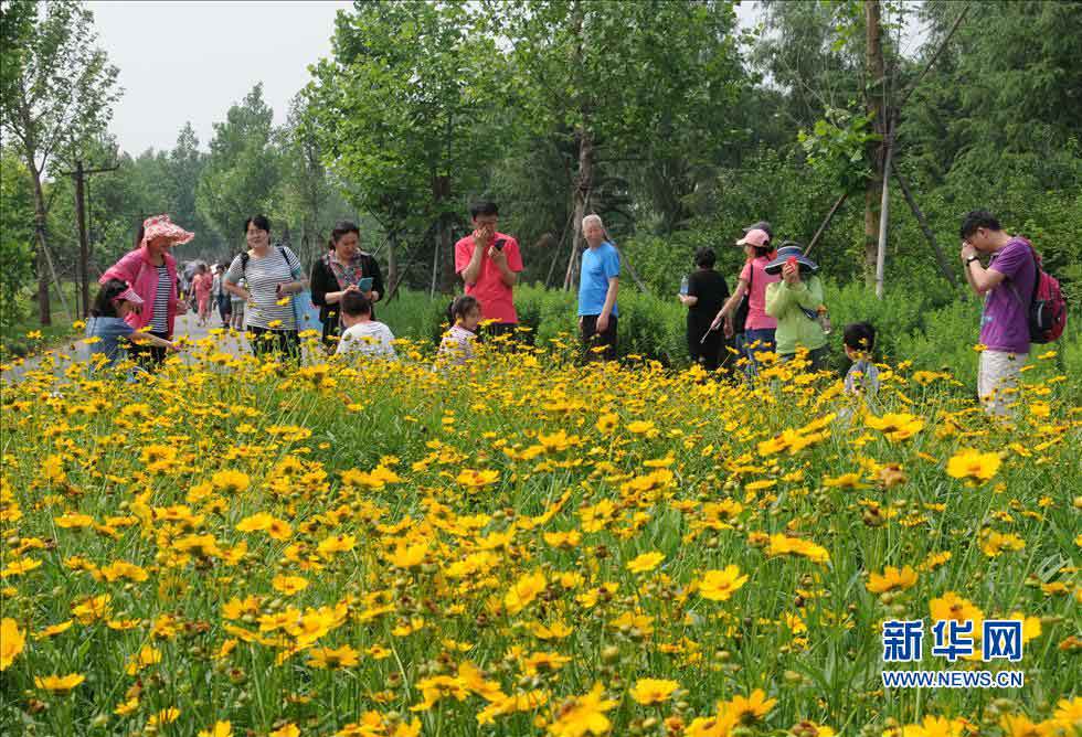 Visitors play in the Nanhaizi Park. (Photo/Xinhua)