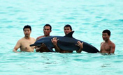 Abuse by tourists led to stranded dolphin's death