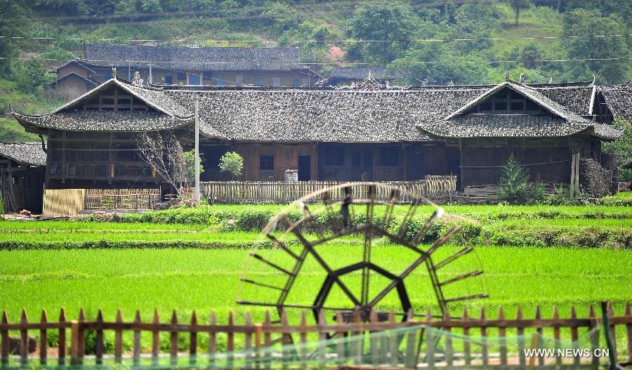 Photo taken on June 16, 2013 shows the wooden Diaojiaolou, or stilted houses in Shiyanping Village, Wangjiaping Township of Zhangjiajie City in central China's Hunan Province. The Shiyanping Village, located in the southeast of Wangjiaping, is one of the regions in Hunan where stilted houses are well preserved. With a toal of 182 existing stilted houses of the Tujia ethnic group, the village was listed as the seventh batch of important heritage sites under state protection in 2013. (Xinhua/Shao Ying)