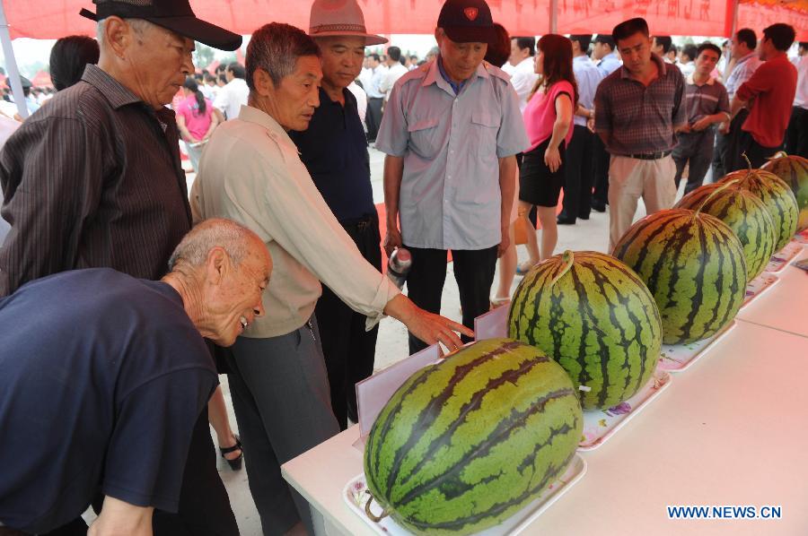 People take a look at the watermelons displayed during a watermelon festival in Fucheng County, north China's Hebei Province, June 18, 2013. The Fucheng County is a well-known watermelon growing area in north China, which grows 119,000 mu (about 8,000 hectares) watermelons and produces 550,000 tonnes of watermelons annually, with the annual sales volume reaching about 1 billion yuan (163.2 million U.S. dollars). (Xinhua/Wang Min)