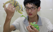 Chinese youth plays with pet anoles 