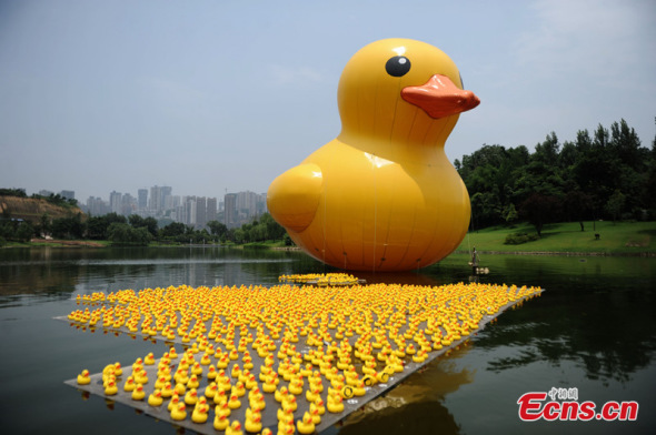 A scaled replica of the "Rubber Duck" by Dutch conceptual artist Florentijn Hofman is seen floating in a river of a park in Chongqing on June 20, followed by hundreds of small-sized ones. (CNS /Zhangchao)