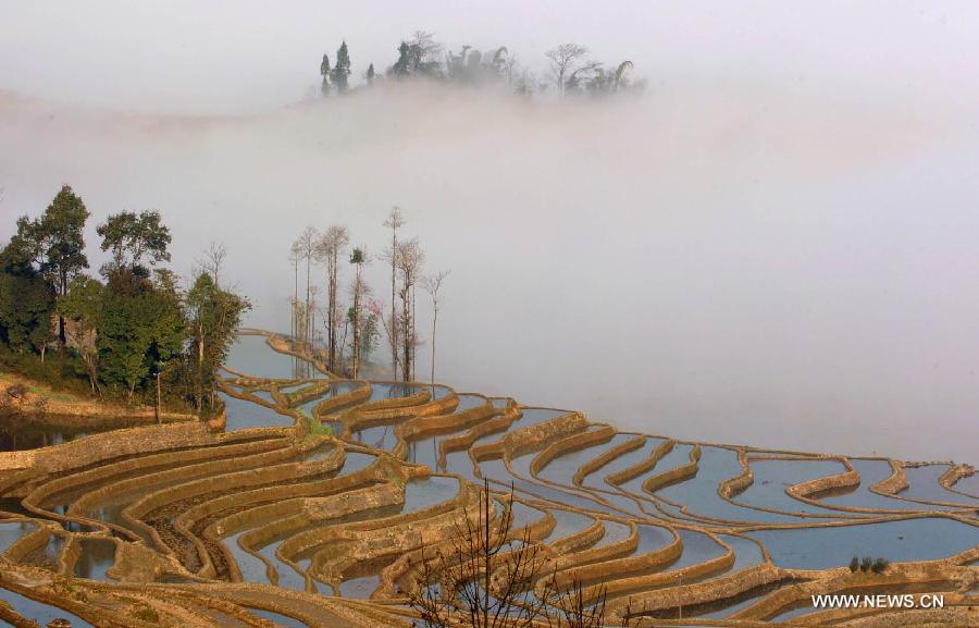 Photo taken in February, 2005 shows the rice terraces in Yuanyang County of Honghe Prefecture, southwest China's Yunnan Province. The UNESCO's World Heritage Committee inscribed China's cultural landscape of Honghe Hani Rice Terraces onto the prestigious World Heritage List on Saturday, bringing the total number of World Heritage Sites in China to 45. (Xinhua/Lin Yiguang)