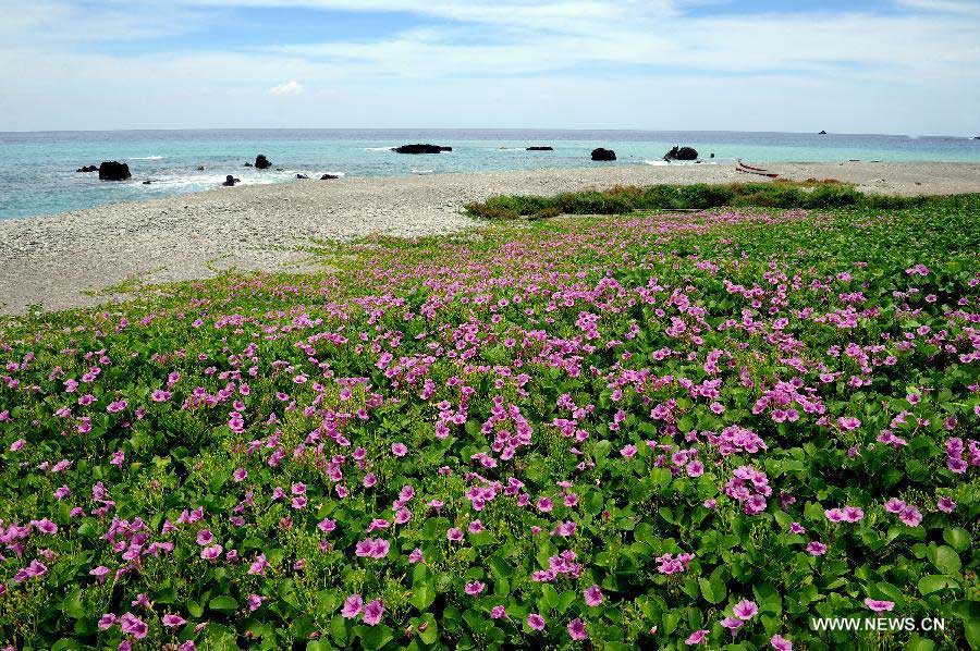 Photo taken on June 19, 2013 shows the scenery on the Lanyu island, southeast China's Taiwan. The Lanyu island is one of the islands of Taiwan, which has an area of 45 square kilometers. (Xinhua/Tao Ming) 