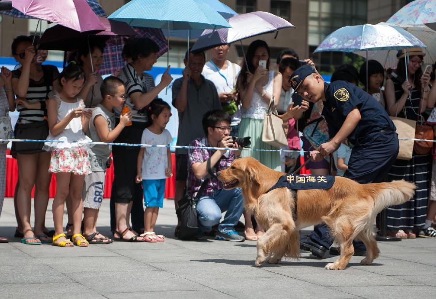 Visitors watch a detection dog performing during an "open day" of the Customs in Guangzhou, capital of south China's Guangdong Province, June 23, 2013. An "open day" activity was held here for the residents to know about the works of drug-sniffing dogs. (Xinhua/Mao Siqian)