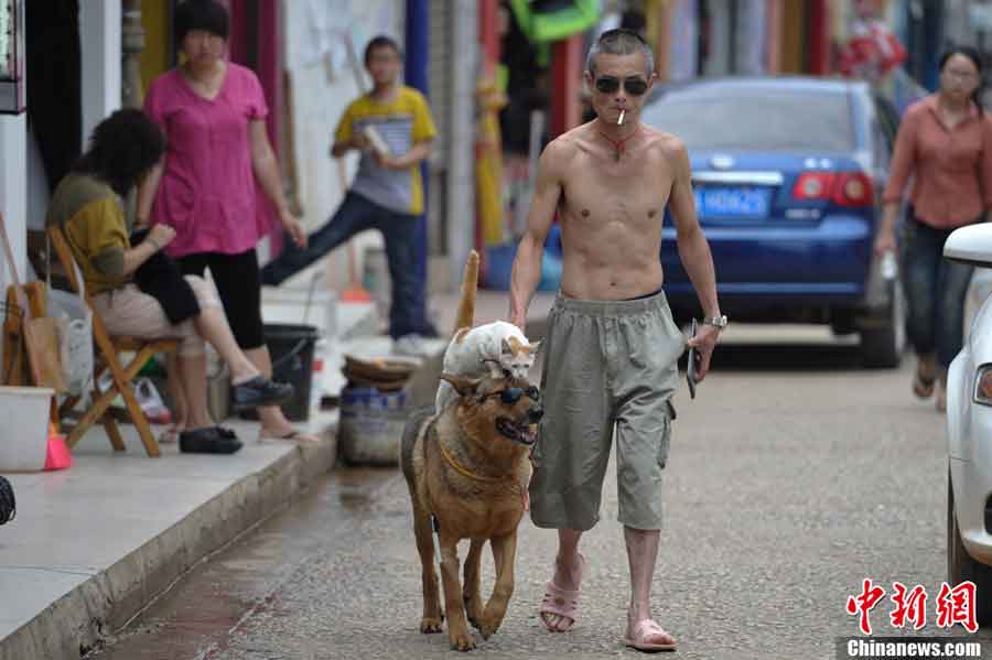 A dog gives a cat a piggyback ride on a street in Kunming, capital of Yunnan Province, June 23, 2013. (CNS/Liu Ranyang)