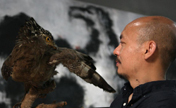 China's eagle painter Zhang Fangbai