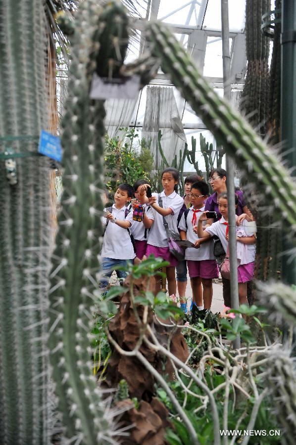 Students from Huiwen No.1 primary school look at desert plants when visiting a greenhouse in the botanic garden in Beijing, capital of China, June 25, 2013. Students from a biology group of the Huiwen No.1 primary school visited Beijing Botanic Garden Tuesday to enrich their understanding of various plants. (Xinhua/Chen Yehua) 