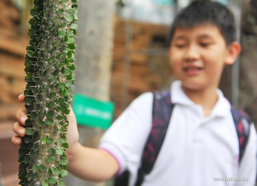 A boy from Huiwen No.1 primary school touches a kind of tree originating in Madagascar at a greenhouse in the botanic garden in Beijing, capital of China, June 25, 2013. Students from a biology group of the Huiwen No.1 primary school visited Beijing Botanic Garden Tuesday to enrich their understanding of various plants. (Xinhua/Chen Yehua)  