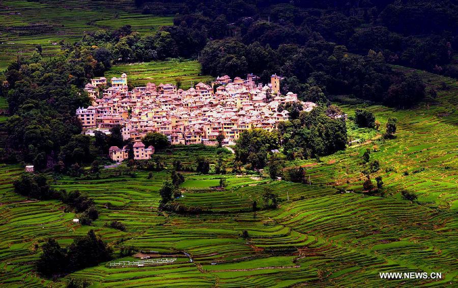 Photo taken on June 29, 2013 shows the village buildings and terraced fields in Yuanyang County of Honghe Prefecture in southwest China's Yunnan Province. The UNESCO's World Heritage Committee inscribed China's cultural landscape of Honghe Hani Rice Terraces onto the prestigious World Heritage List on June 22, bringing the total number of World Heritage Sites in China to 45. (Xinhua/Chen Haining) 