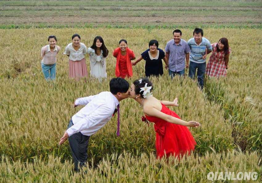A young couple in Hancunhe Village of Beijing's Fangshan District tied the knot in the wheat field in front of their house, saying that they hope their action can help promote a frugal and green lifestyle. (Photo: china.org.cn/Qianlong) 