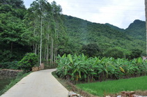 Country road in Liangxing Village