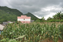 Lush crops and fine enviroment in Liangxin VIllage