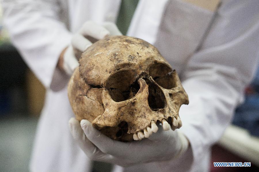 A worker of the Forensic Anthropology Foundation of Guatemala (FAFG, by its acronym in Spanish) shows the skull of a victim found in a clandestine cemetery, to perform a biological profile and identify their cause of death, in Guatemala City, Guatemala, on July 9, 2013. The FAFG works to identify missing persons during the Guatemala's Internal Armed Conflict (1960-1996) which amount to 40,000 according to data of the Historical Clarification Commission (CEH, for its acronym in Spanish). (Xinhua/Luis Echeverria)