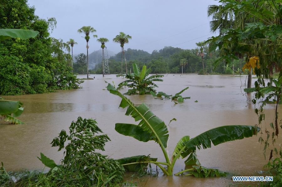 Photo taken on July 10, 2013 shows a flooded area in north Vietnamese province Ha Giang. Heavy rains and floods hit many parts of Ha Giang province this month, killing two people and causing huge damage to crops. (Xinhua/VNA)