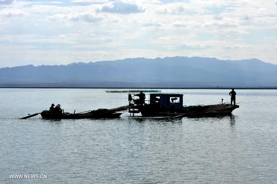 Fishermen are seen on a boat on the Keluke Lake in the Mongolian-Tibetan Autonomous Prefecture of Haixi, northwest China's Qinghai Province, July 13, 2013. The annual output of aquaculture of the Keluke Lake has reached 200 tons so far, with the production value exceeding 4 million yuan (651,600 U.S. dollars). (Xinhua/Wang Bo)