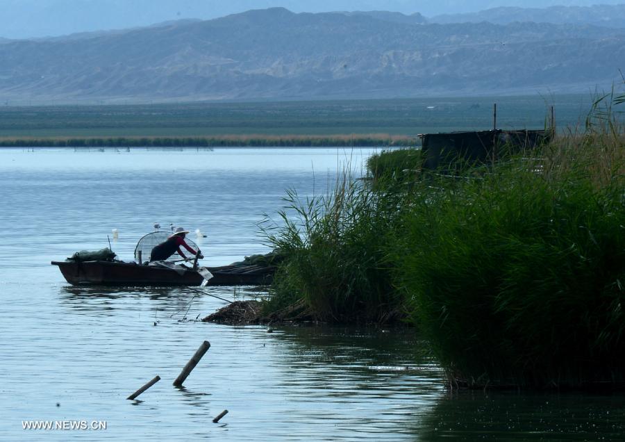 A fisherman rows a boat back home on the Keluke Lake in the Mongolian-Tibetan Autonomous Prefecture of Haixi, northwest China's Qinghai Province, July 13, 2013. The annual output of aquaculture of the Keluke Lake has reached 200 tons so far, with the production value exceeding 4 million yuan (651,600 U.S. dollars). (Xinhua/Wang Bo)