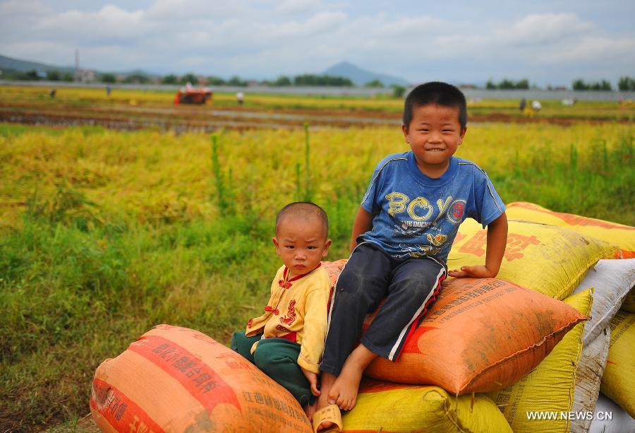Children sit on bags of rice in Butou Township of Xingguo County, east China's Jiangxi Province, July 16, 2013. According to the local agricultural department, the total output of early rice in Jiangxi will increase 200 million kilograms, reaching 8.6 billion kilograms. (Xinhua/Wen Meiliang) 