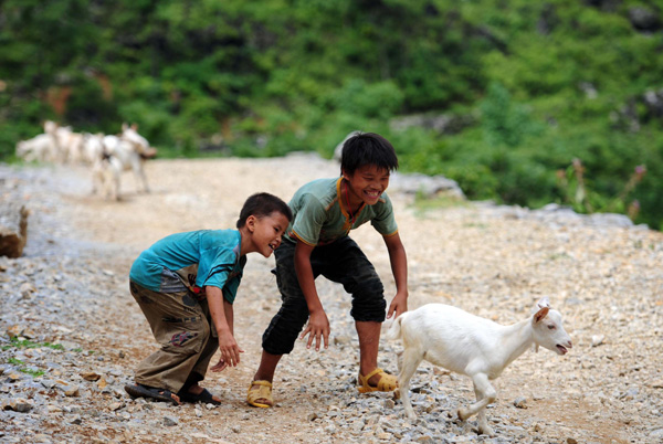 Two boys chase a lamb after it slips away in the Dahua Yao ethnic county of Guangxi Zhuang autonomous region, July 14, 2013. Most of the local children develop life skills at very young age in order to manage housework and take care of their grandparents. The mountainous county, relying mainly on raising goats, is home to these young shepherds whose parents are work in other places. (Photo/Xinhua)