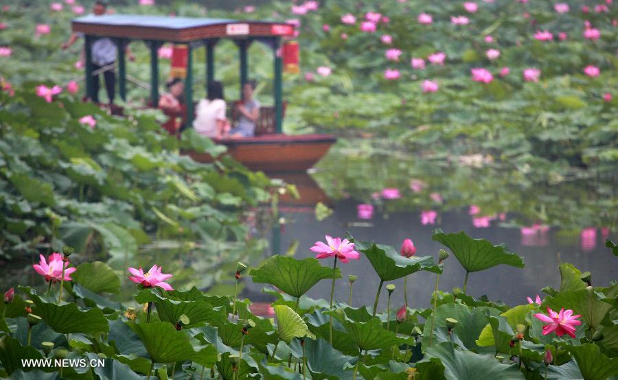 Visitors on a boat view lotus blossoms at Zizhuyuan Park, or Purple Bamboo Park, in Beijing, capital of China, July 19, 2013. (Xinhua/Wang Xibao)