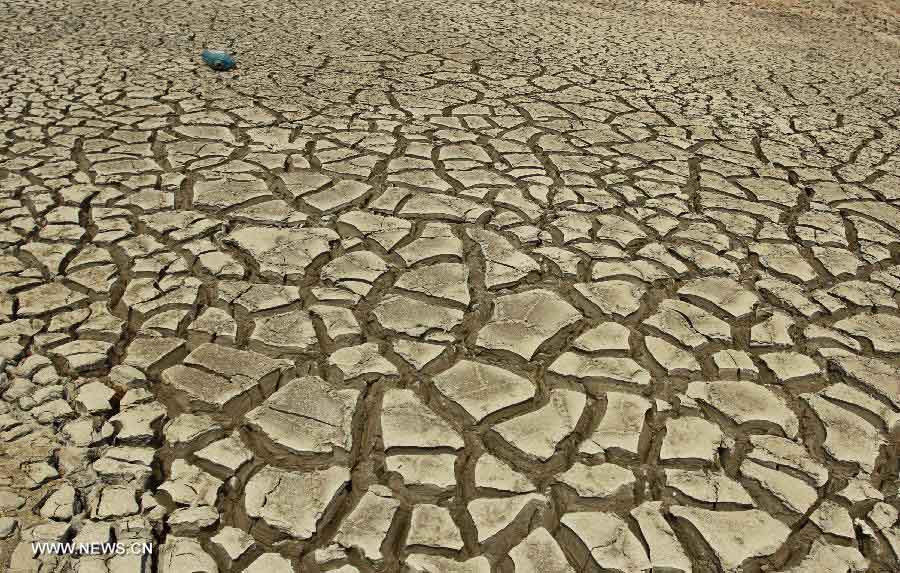 Photo taken on July 20, 2013 shows the cracked riverbed of Lianshui River in Loudi City, central China's Hunan Province. The drought has left about 283,000 people short of water in Hunan following days of heat, affecting 3.376 million mu (about 225,066 hectares) of croplands. (Xinhua/Zhou Qiang)  