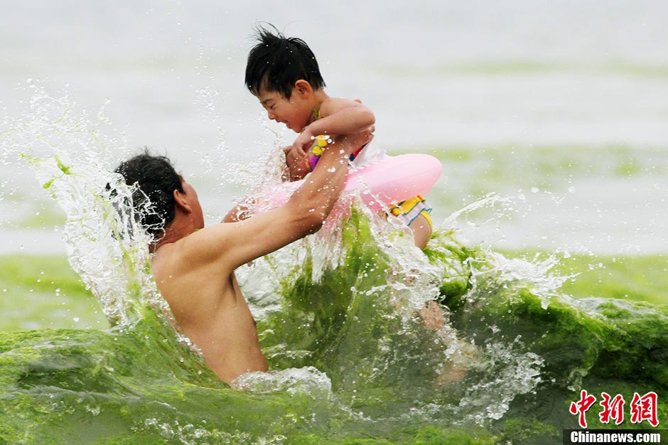 As a green algae tide approaches, a father lifts a swimming boy on the beach in Qingdao, east China's Shandong province, July 18, 2013. (CNS/Xue Hun)