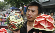 Photos:watermelon art blooms