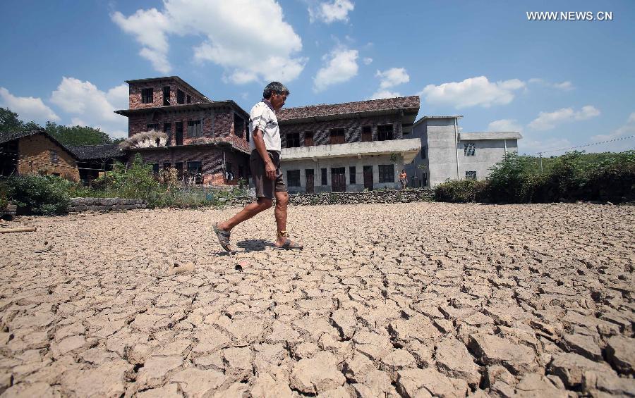 Resident Lyu Youde walks on the dried-up pond bed at Jingtang Village of Wufengpu Town in Shaoyang County, central China's Hunan Province, July 24, 2013. A drought that has lasted since early July has left 533,000 people short of drinking water in the province. 107 counties of 14 cities and prefectures in the province have been affected by the drought, with about 6027,000 hectares of crops damaged and 311,000 heads of livestock short of water. Also in the province, 186 rivers and 252 reservoirs are dry. (Xinhua/Li Ga) 