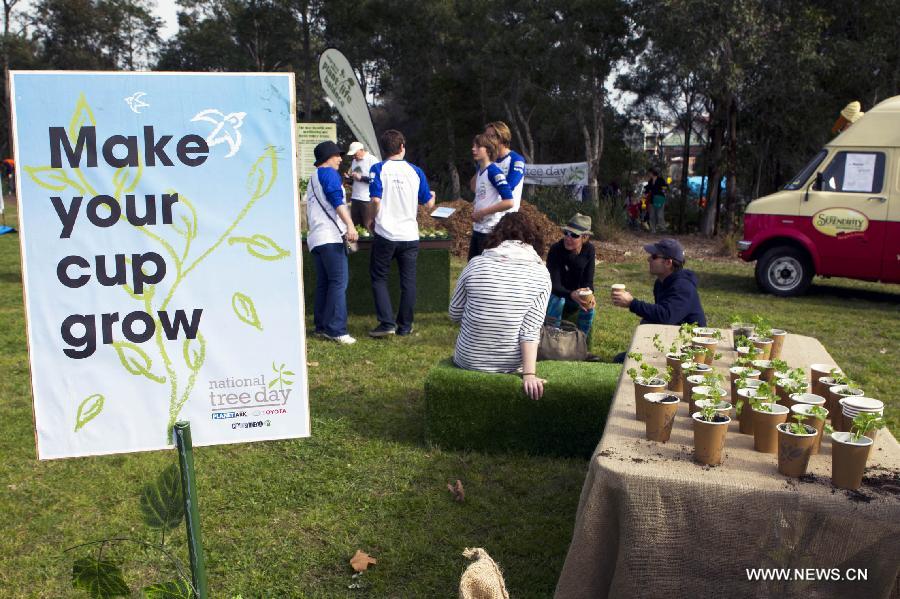 Photo taken on July 28, 2013, show plants in coffee cups at the Sydney Park in Sydney, Australia, on July 28, 2013, during the Australia Planet Ark National Tree Day event. Since the first Planet Ark National Tree Day in 1996, more than three million participants have planted around 20 million trees and shrubs in Australia. (Xinhua/Jin Linpeng)