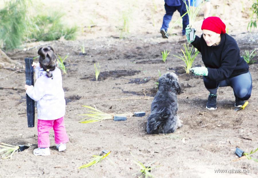 A mother plants with her daughter and pet dog at the Sydney Park in Sydney, Australia, on July 28, 2013, during the Australia Planet Ark National Tree Day event. Since the first Planet Ark National Tree Day in 1996, more than three million participants have planted around 20 million trees and shrubs in Australia. (Xinhua/Jin Linpeng)