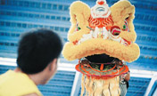 Post-90s students in lion dance troupe
