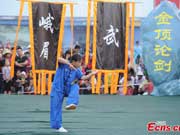 Martial arts masters compete for 'Kung Fu King' 