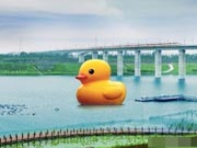 18-meter-high Rubber Duck ready to meet Beijingers